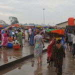 The bustling Malpe fish market